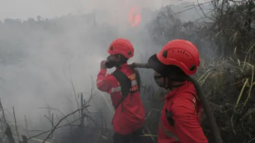 Indonesia Cầu Nguyện Lớn Cho Mưa Giữa Làn Khói Mù Mịt Từ Cháy Rừng