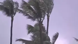 Bão Lowell đang đổ bộ vào Hawaii