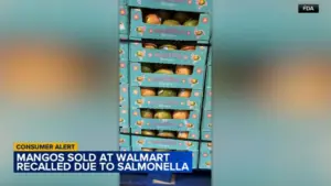 Xoài bán tại Walmart ở PA, NJ bị thu hồi vì lo ngại Salmonella