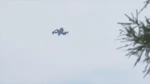 Cư dân Bắc Texas phàn nàn về tiếng ồn từ drone giao hàng của Amazon