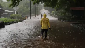 Hawaii chịu đựng “mệt mỏi vì bão” khi Nolo đe dọa sau các cơn bão khác