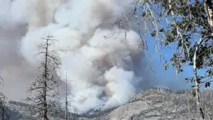 Cháy Rừng Dome Thiêu Rụi Hơn 1.000 Mẫu Gần Vườn Quốc Gia Yosemite