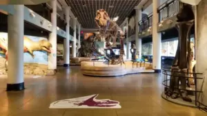 Người biểu tình phản đối việc đóng cửa Bảo tàng Khoa học Tự nhiên ở Philadelphia