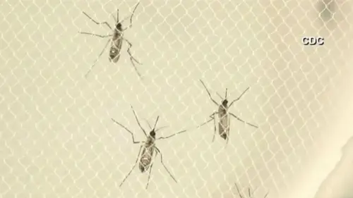 Quận Los Angeles: Ca nhiễm West Nile lên mức cao nhất trong 10 năm