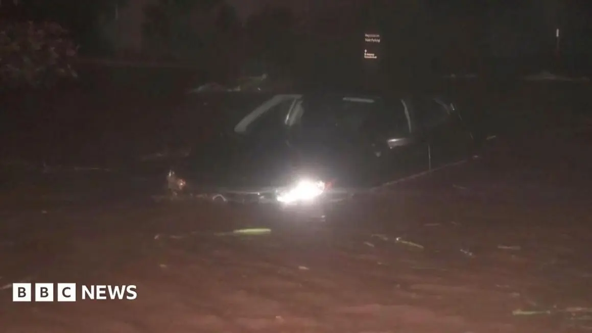 Video: Cây đổ, đường ngập vì bão Lowell quét qua miền Tây Hawaii