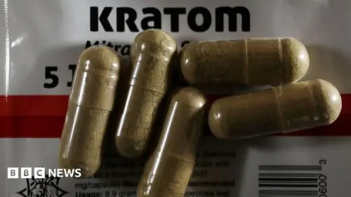 Kratom là gì, loại ‘heroin trạm xăng’ đang báo động các nhà chức trách Hoa Kỳ?