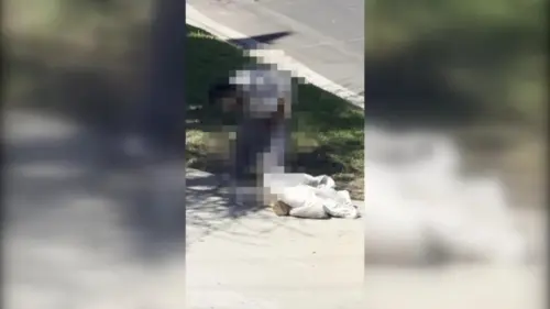 ‘Bà Già Mắc Bệnh’ ở Brentwood: Cư Dân Cho Biết Một Phụ Nữ Đã Đi Vệ Sinh Nơi Công Cộng Nhiều Năm