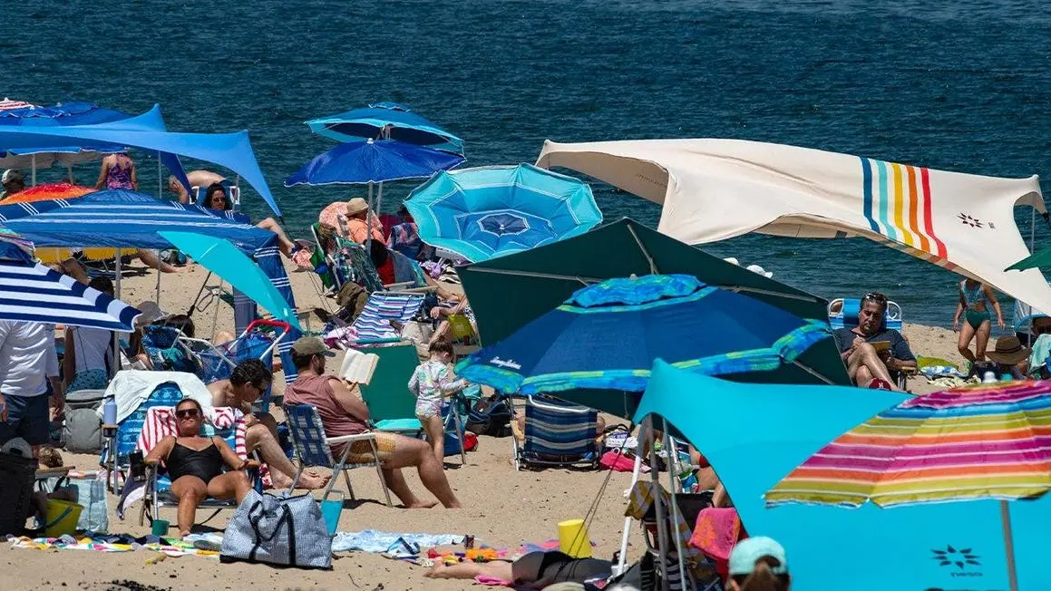 Cá Mập Trắng Lớn và Du Lịch Sinh Thái Biển Phát Triển Mạnh ở Cape Cod