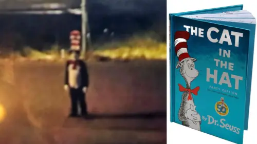 Xu hướng ‘Cat in the Hat’ đáng sợ lan rộng, nhắm vào trường học và học sinh