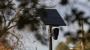 Thành phố Willis ngưng sử dụng hệ thống camera giám sát Flock