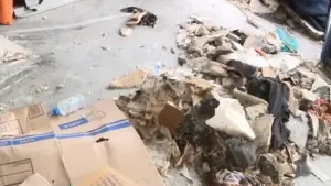 Sét đánh gây cháy nhà ở Texas City khi có mẹ và em bé bên trong