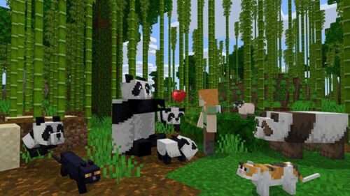 America.gov Lạ lùng khi hỏi về Minecraft, nhưng không phải lỗi