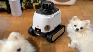 Robot AI có thể ngăn chó sủa khi bạn vắng nhà