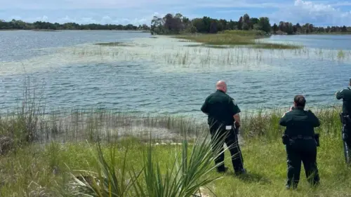 Bé trai bị cá sấu khổng lồ tấn công khi bơi ở khu bảo tồn Florida