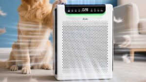Máy lọc không khí FreAire giảm giá sốc trên Amazon