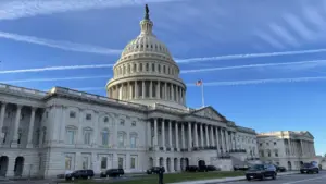 Tân Chủ tịch Hạ viện Newt Gingrich: Đảng Cộng hòa có thể thắng bầu cử giữa kỳ 2026