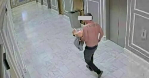Du khách Canada bị kết tội hành hạ động vật vì trộm chim hồng hạc ở Las Vegas