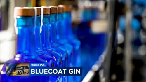 Bluecoat Gin của Philadelphia kỷ niệm 20 năm sản xuất rượu thủ công tại thành phố
