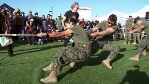 Bên cạnh các màn trình diễn trên không, Lễ hội Hạm Đội San Francisco còn có nhiều hoạt động hấp dẫn