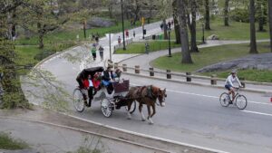 Thành phố New York sẽ cấm xe ngựa kéo vào năm 2028