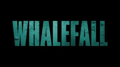 Tiểu thuyết bán chạy ‘Whalefall’ từ trang giấy lên màn ảnh rộng