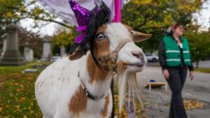 Sự kiện ‘GOAToberfest’ Thường niên Hỗ trợ Các Chương trình Sức khỏe Cộng đồng tại Philadelphia