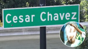 Đề xuất tên mới cho đường Cesar Chavez ở San Francisco, vẫn tôn vinh phong trào nông dân