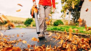 6 Máy Thổi Lá Tốt Nhất Giúp Dọn Dẹp Sân Vườn Nhanh Chóng và Dễ Dàng, Theo Chuyên Gia