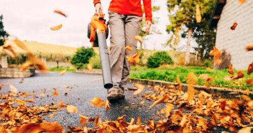 6 Máy Thổi Lá Tốt Nhất Giúp Dọn Dẹp Sân Vườn Nhanh Chóng và Dễ Dàng, Theo Chuyên Gia