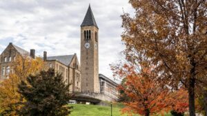 Khảo sát Đại học Cornell cho thấy số vụ tiếp xúc tình dục không được đồng thuận ở sinh viên nữ gia tăng