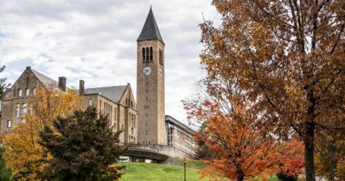 Khảo sát Đại học Cornell cho thấy số vụ tiếp xúc tình dục không được đồng thuận ở sinh viên nữ gia tăng