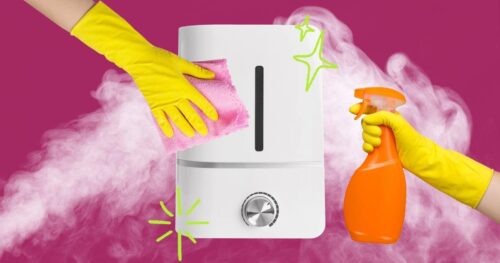 Cách Vệ Sinh Máy Tạo Độ Ẩm Để Ngăn Ngừa Nấm Mốc