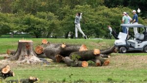 Thẩm phán gia hạn lệnh cấm chính quyền Trump dỡ bỏ cây tại sân golf ở D.C.