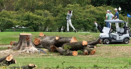 Thẩm phán gia hạn lệnh cấm chính quyền Trump dỡ bỏ cây tại sân golf ở D.C.