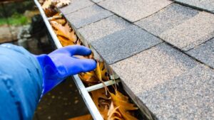 Thời điểm lý tưởng để vệ sinh máng xối theo lời khuyên chuyên gia