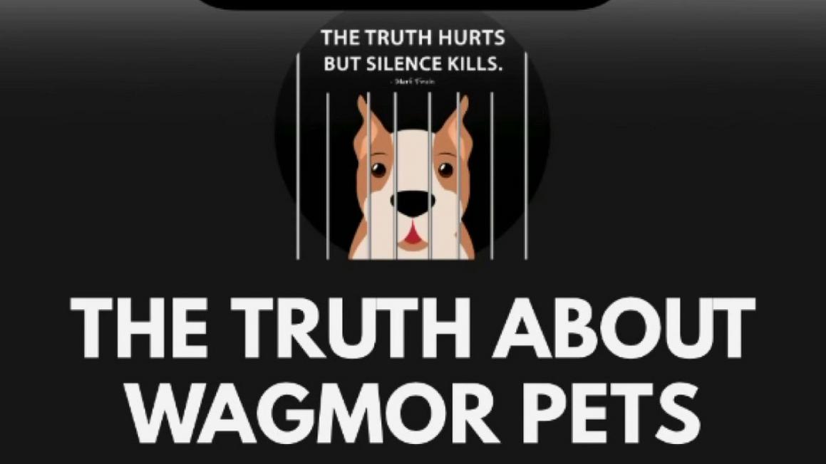 Wagmor Pets bị cáo buộc mua bán chó trái phép