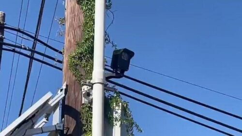Cảnh sát trưởng quận Fort Bend sẽ giải quyết công nghệ đọc biển số và mối lo ngại về quyền riêng tư trong buổi họp báo
