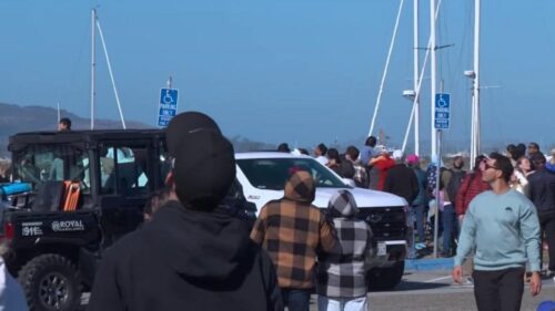 Đám đông náo nức xem biểu diễn không trung Blue Angels trong Tuần Lễ Tàu Biển San Francisco