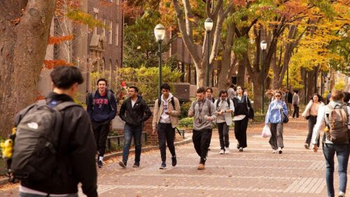 Chiêu trò lừa đảo tinh vi trên các khuôn viên đại học gây thiệt hại hàng triệu đô la