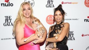Chủ nhân Wagmor Pets phủ nhận cáo buộc ‘rửa chó’ giữa lúc bị Los Angeles kiện