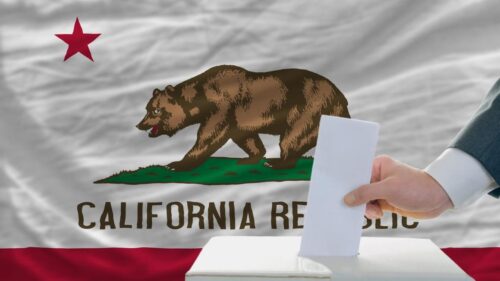 Phụ nữ Costa Mesa bị truy tố gian lận bầu cử vì đăng ký cho chó đi bầu đã được đình chỉ