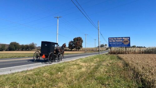 Biến chủng Sởi Lịch Sử Bùng Phát Tại Vùng Đất Amish, Nhiều Người Mở Lòng Với Vacxin