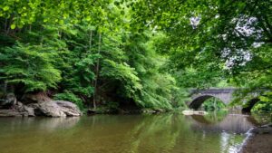 Cảnh báo không ăn cá ở lưu vực sông Wissahickon Creek