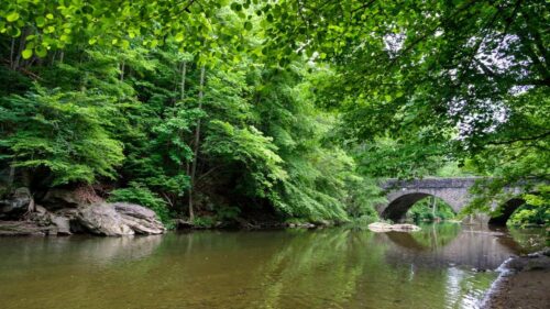 Cảnh báo không ăn cá ở lưu vực sông Wissahickon Creek
