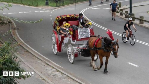 Hội đồng Thành phố New York Dự kiến Cấm Xe Ngựa Từ Tháng 6 năm 2028