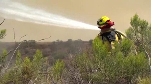 Cảnh báo cấp độ đỏ về gió Santa Ana và nhiệt độ tăng ở Nam California