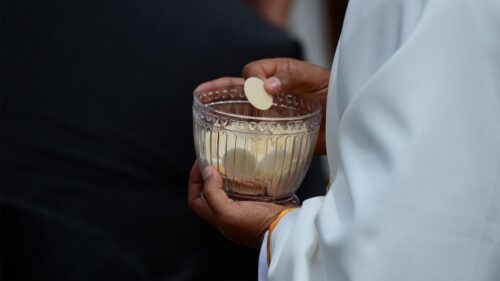 Cha qua đời vì bị thánh giá rơi trúng khi đang cử hành thánh lễ ở Ecuador