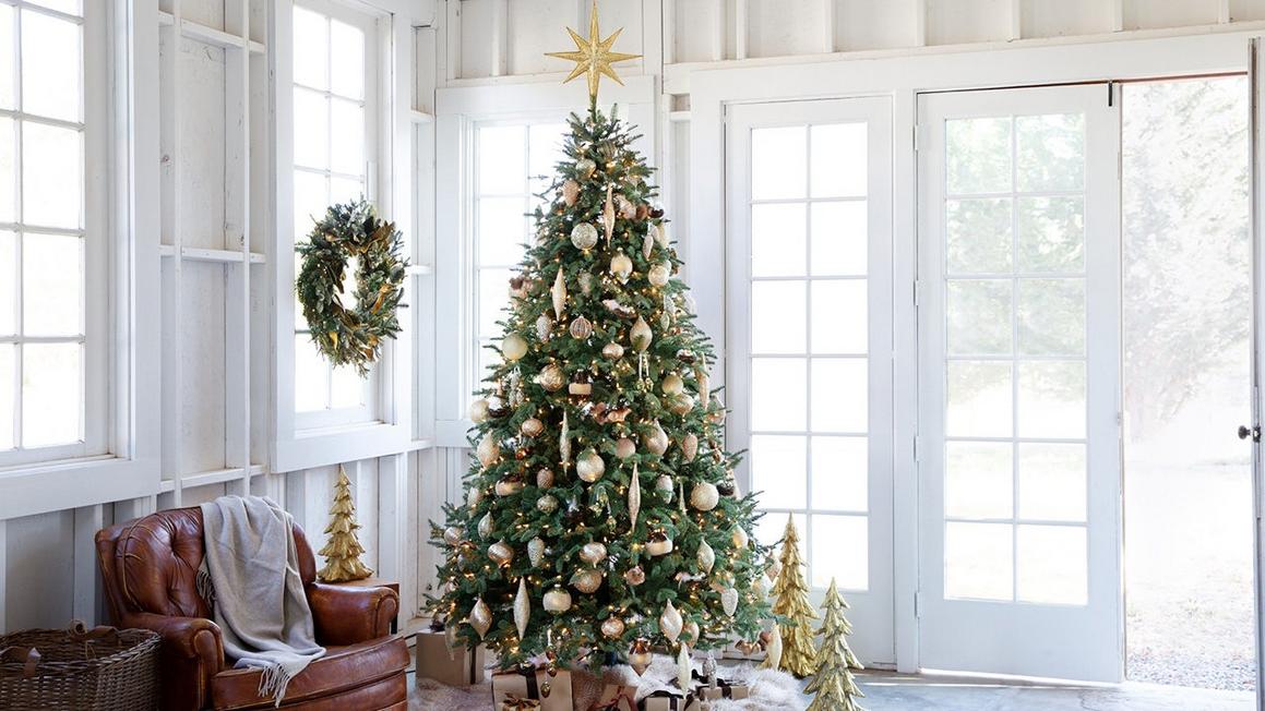 Ưu đãi cây thông Noel giả hiệu Balsam Hill tại Amazon
