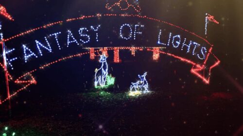 Lễ hội Ánh sáng ‘Fantasy of Lights’ tại Los Gatos chỉ mở cửa cho khách đi bộ và rút ngắn số ngày