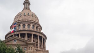 Bầu cử Texas 2026: Các ứng cử viên, các cuộc đua quan trọng và những gì cử tri Houston cần biết